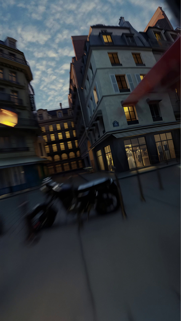 A Bee’s Flight Through Paris